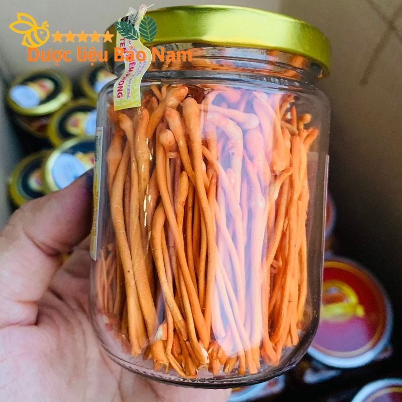 Đông trùng hạ thảo Huy Cương loại 1 lọ 10g