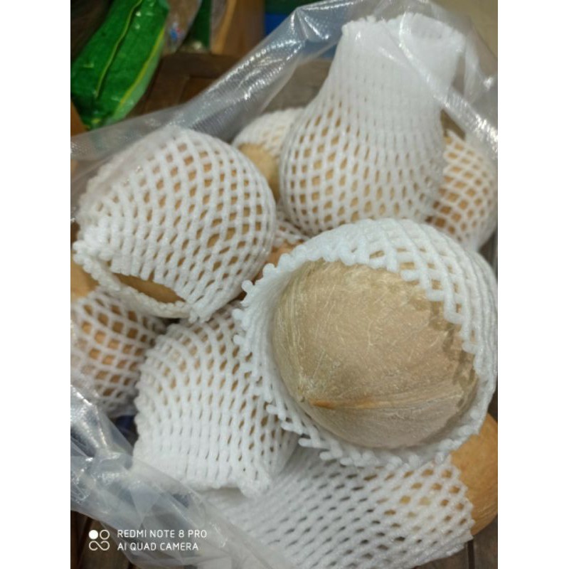 Dừa xiêm big size, set 12 trái( giao liền 1h) | BigBuy360 - bigbuy360.vn