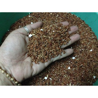 Trà Gạo Lứt rang chín (500g)