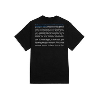 ←★→Áo thun LEVENTS Shark/ Black