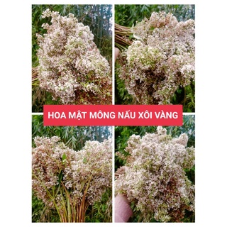 Hoa mật mông (bón phón) nấu xôi màu vàng túi 100g