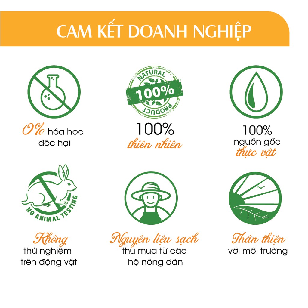 Xịt Phòng Tinh Dầu Ngọc Lan Tây Y-lang Hữu Cơ Organic 24Care 50ML - Kháng khuẩn - Khử mùi hôi - Thư giãn