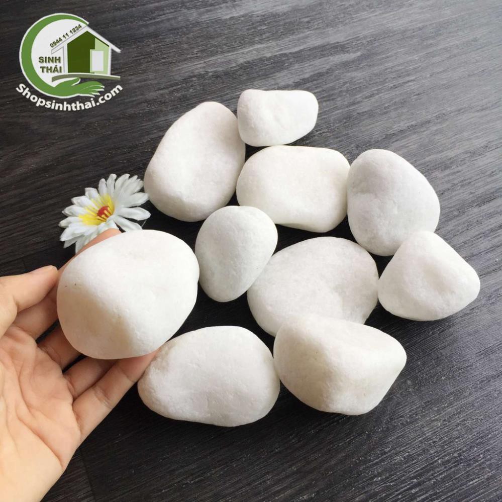 1kg đá sỏi trắng viên lớn, cỡ đại trang trí sân vườn, bể cá, chậu cây, chặn giấy trên bàn