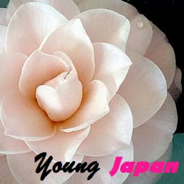 youngjapan2016