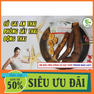 Củ Gai An Thai Tươi 500g - Thảo Dược Cho Phái Nữ