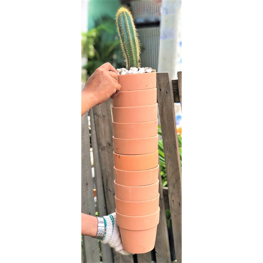 Bộ 10 chậu đất nung trồng xương rồng sen đá Rộng 14 cm x Cao 13 cm