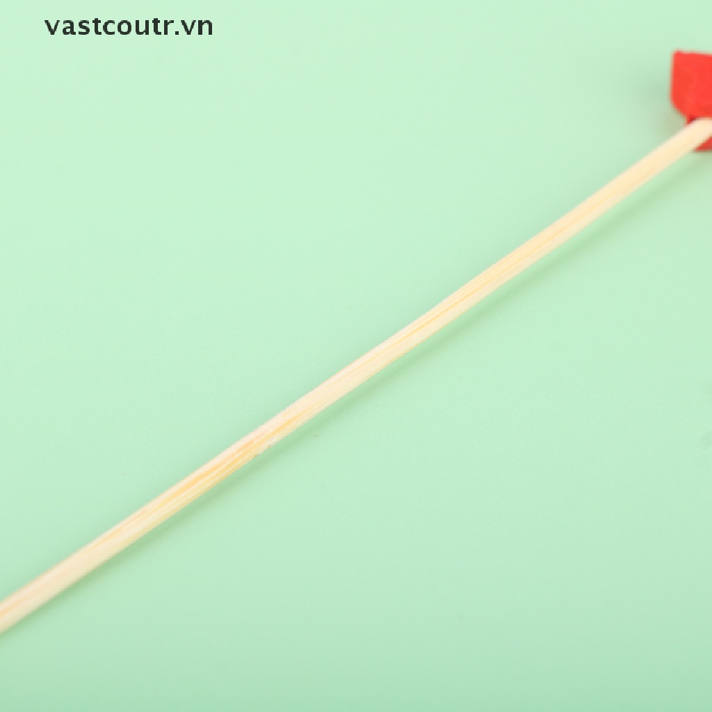 Set 100 Que Tre Xiên Trái Cây / Thức Ăn Tiện Dụng