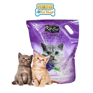 Cát vệ sinh cho mèo Kit Cat Cát mèo vón siêu nhanh - mùi táo, cà phê 10L