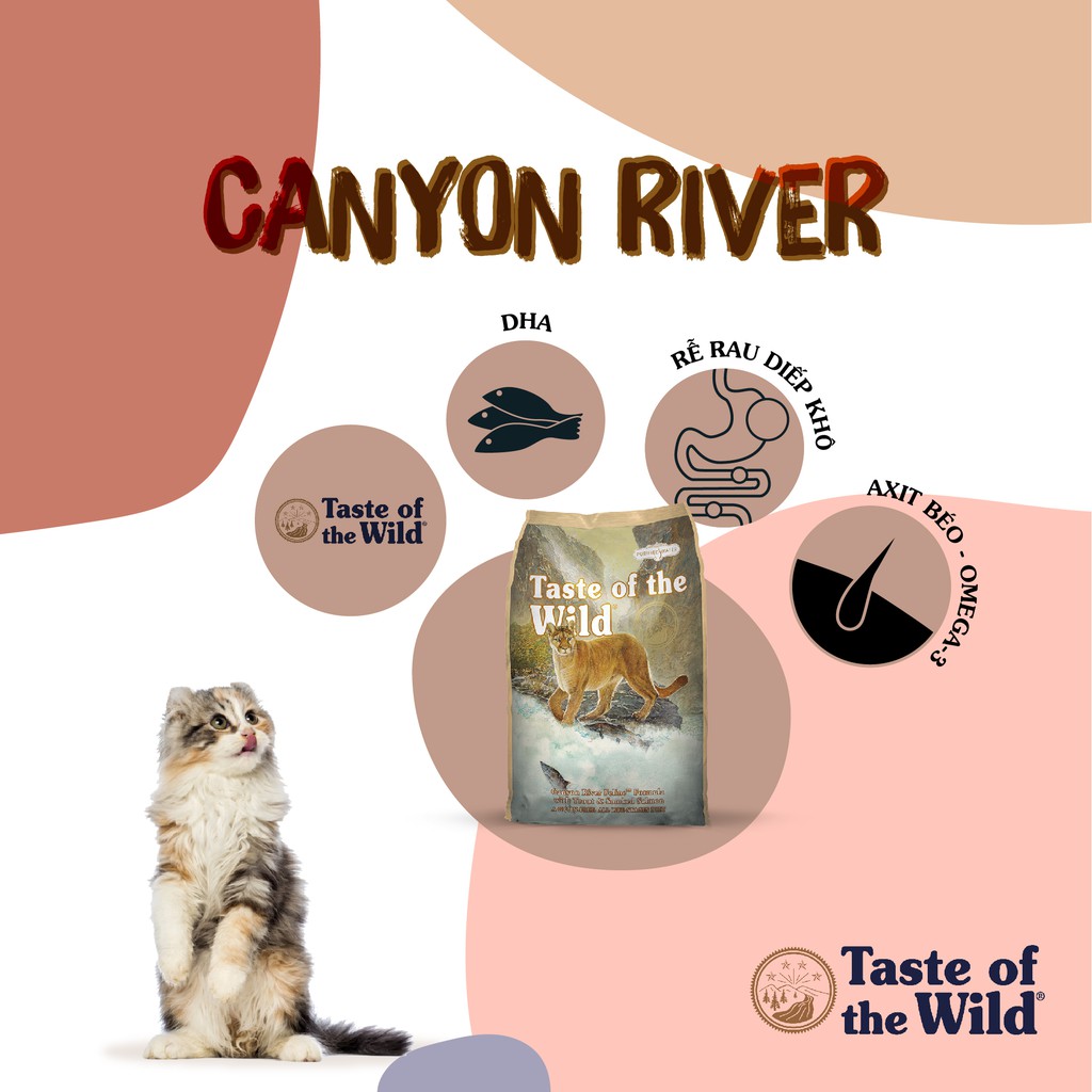 [DINH DƯỠNG CAO] Thức ăn hạt CHO TẤT CẢ GIỐNG MÈO 2KG TASTE OF THE WILD CANYON RIVER vị Cá Hồi Vân &amp; Cá Hồi Xông Khói