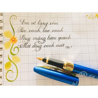 🌷 Bút máy luyện chữ đẹp LeTa 383 ngòi mài thanh đậm
