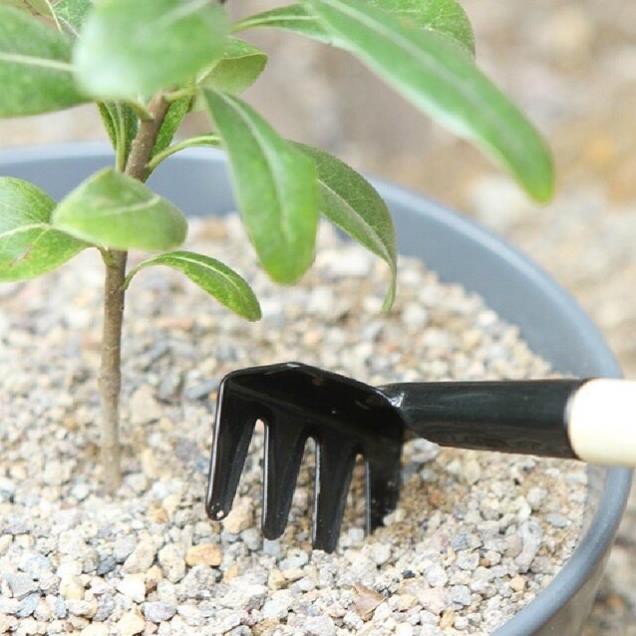 Bộ Cuốc Xẻng Mini Trồng Cây Cảnh - Dụng Cụ 3 Món Chăm Sóc Cây Cảnh Bonsai, Làm Vườn, Chăm Xương Rồng