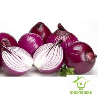 shophouse Gói 200 hạt giống hành tây tím  SHOP HOUSE  TẾT KHUYẾN MẠI