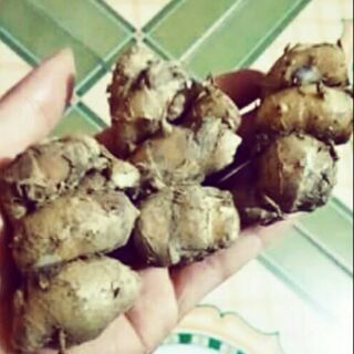 500g củ địa liền