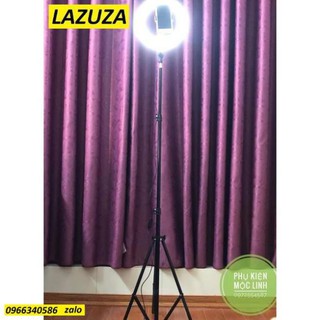 SALE 50% Đèn live stream size 26CM