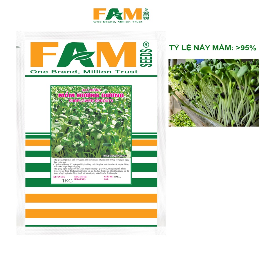 Gói 1kg Hạt Giống Rau Mầm Hướng Dương FAM SEEDS - Xuất Xứ Italy, Lợi Hạt, Nảy Mầm Đều >95%, Năng Suất Cao, Thân Mầm Mập