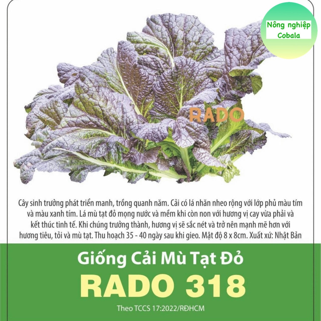 Hạt Giống Cải Mù Tạt Đỏ (318) 1gr
