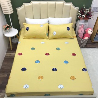 Set Chăn Ga Gối Cotton Lụa !! (Ảnh Chụp Thật)