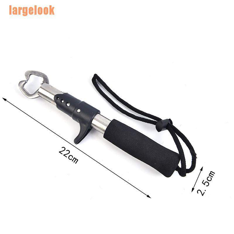 1 Kẹp Cá Đặc Biệt