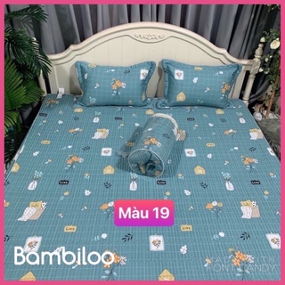 bộ Ga chun Trần và hai vỏ gối cotton 100 % ❤️❤️❤️