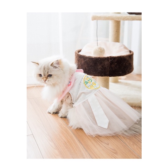 Áo cho thu cưng - Váy ren thêu hoa kiểu dáng cổ trang cho các boss thích sự nhẹ nhàng