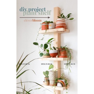 Kệ gỗ 3 tầng gắn tường để cây cảnh, đồ trang trí / Giá treo tường trồng cây decor ⚡NHẬP [ GOTH5K ] giảm 5k ⚡