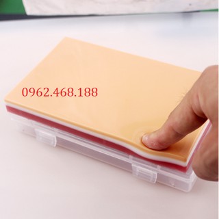 Mô hình tiêm tĩnh mạch
