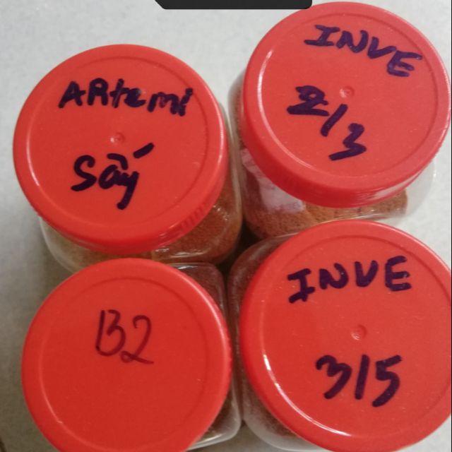 Combo 4 loại thức ăn cho guppy