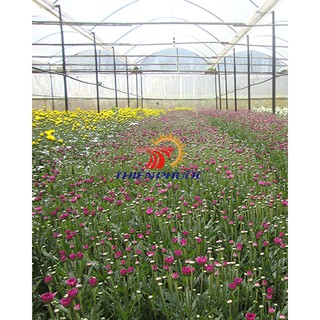 Lưới chắn côn trùng 18 mesh