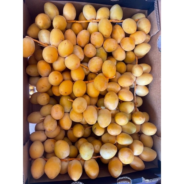 Chà Là Tươi Nam Phi