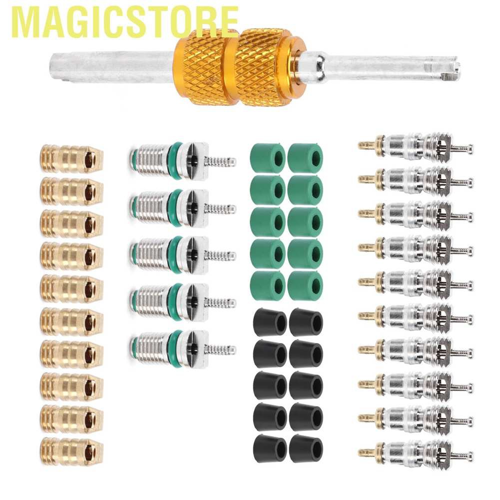 Magicstore 46PCS/Set Air Conditioner Valve Core Remover Tool A/C Repair Gasket Set for R410/R22/R134a