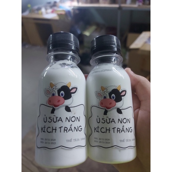 ủ sữa non kích trắng