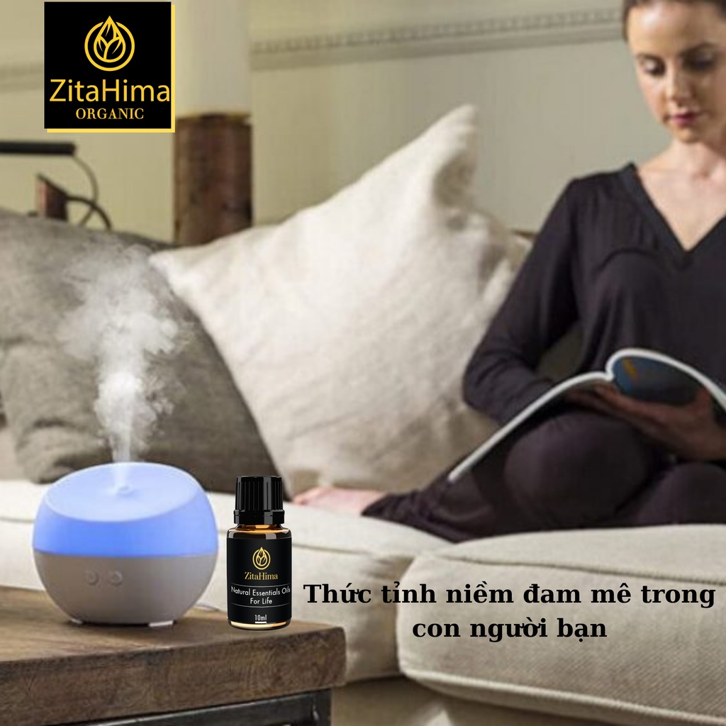 Tinh dầu Thiên Nhiên, Xông Phòng, Khử Mùi Cà Phê ZitaHima dung tích 10ml