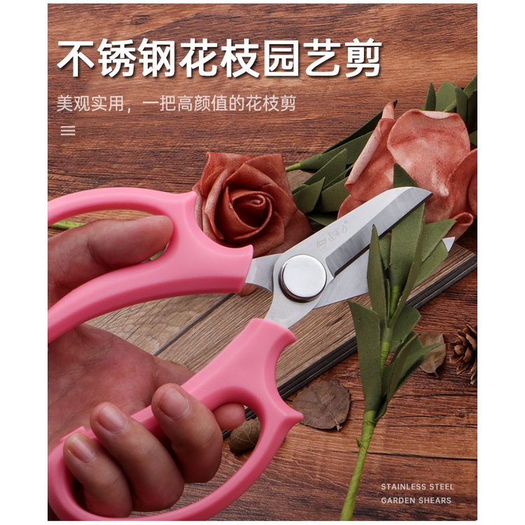 Kéo Cắt Tỉa Chuyên Dụng Cho Họa Sĩ Hoa Hồng