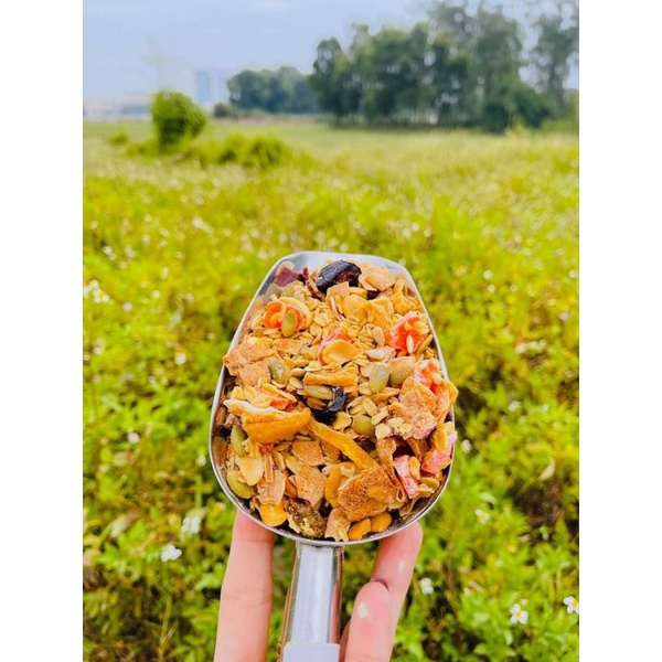 Granola - ngũ cốc nguyên hạt siêu dinh dưỡng - mua 1 hộp 10 gói giá ưu đãi