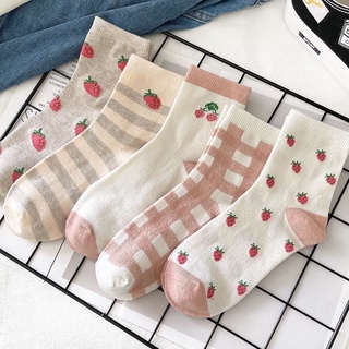 Tất nữ cổ cao phong cách Hàn Quốc [Set 5 đôi]