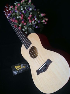 Đàn ukulele Concert