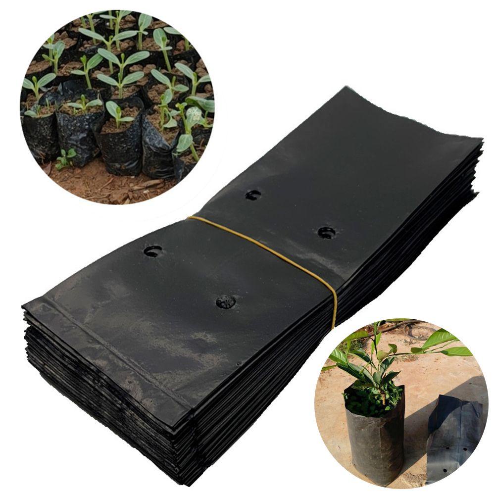 Set 200 Túi Nhựa Trồng Cây Thoáng Khí Bảo Vệ Môi Trường