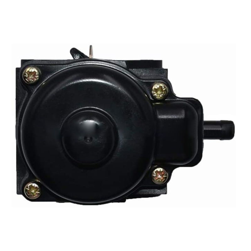 Bộ Chế Hòa Khí Cho Máy Cắt Cỏ 2 Chu Kỳ 107-4607