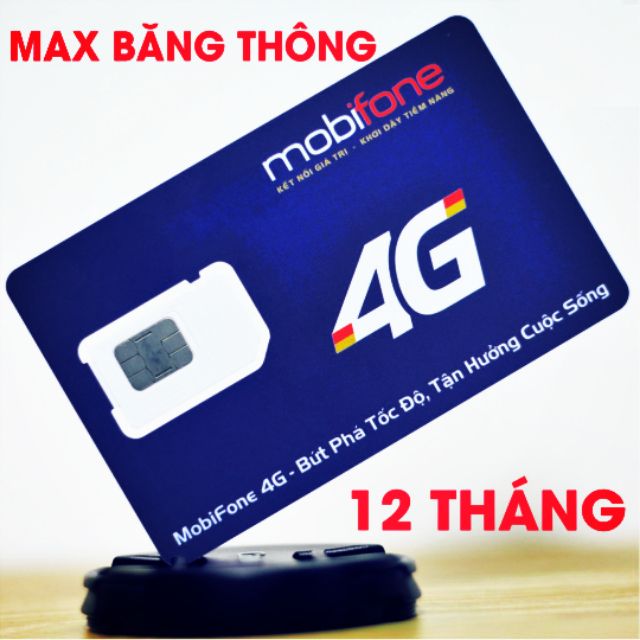 Sim mobiphone max data