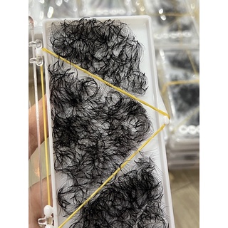 Mi fan sẵn 5d