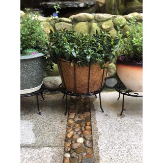 [GREEN HOUSE] Giỏ hoa xơ dừa tròn 2 tấc 3