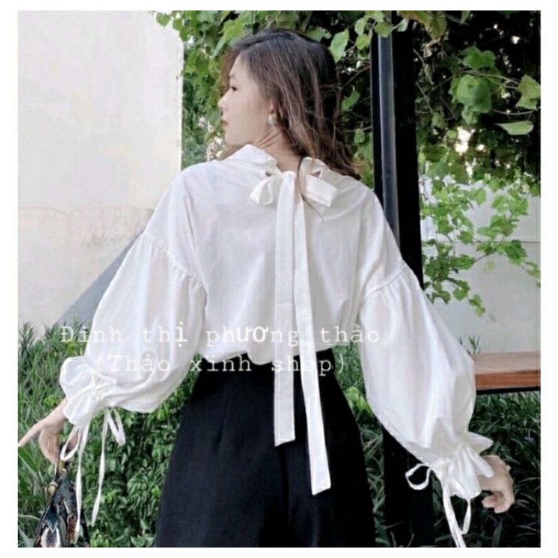 Áo sơ mi tay bồng buộc nơ sau kèm ảnh thật freesize
