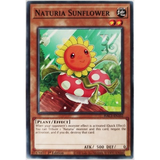 Naturia Sunflower |EN| Common