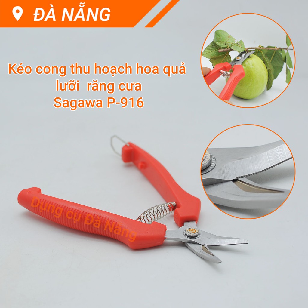 Kéo cong thu hoạch hoa quả 160mm Sagawa P-916