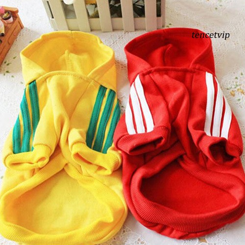 Áo cún cưng ấm áp xinh xắn