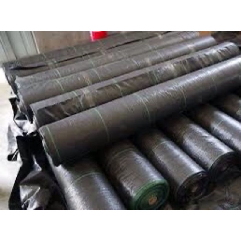 bạt phủ cỏ ngang  1m dài 200m.