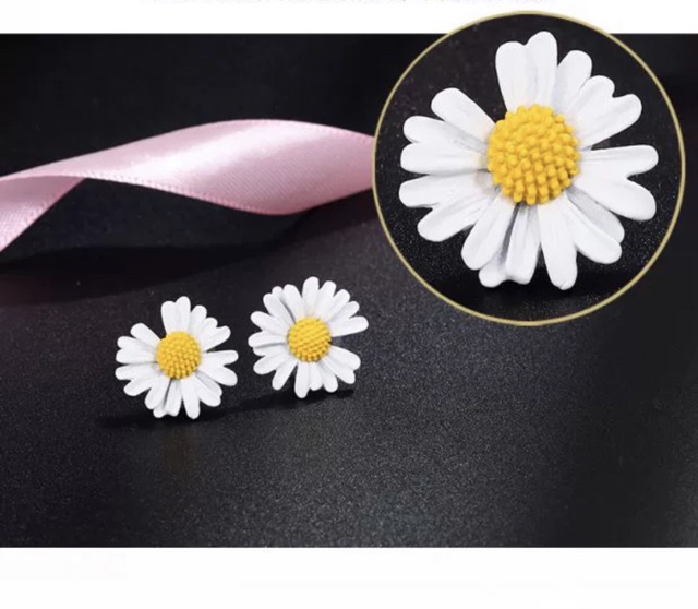 Hoa tai hoa cúc xinh