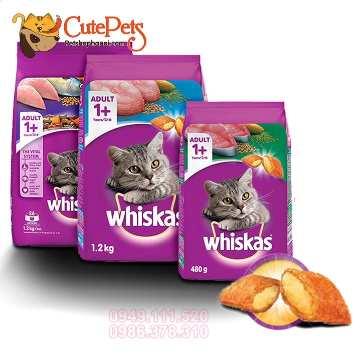 Thức ăn cho mèo con Hạt Whiskas Junior 1.1kg - CutePets