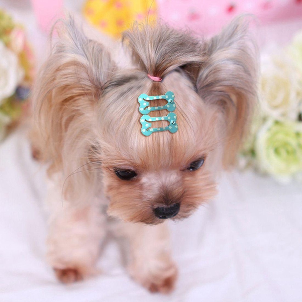 AARON1 Set 5 Kẹp Lông Chó Hình Khúc Xương Dễ Thương