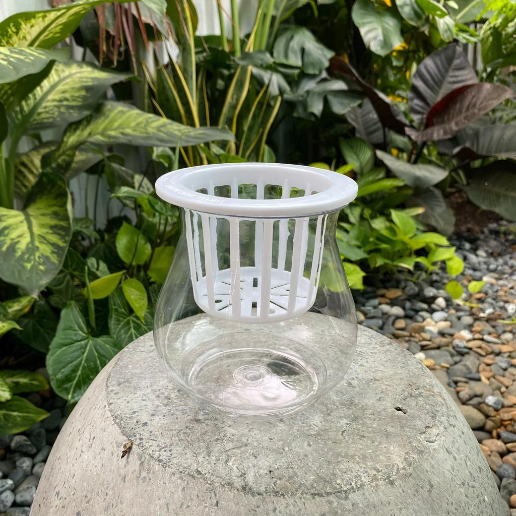 Bình nhựa thủy sinh Hatagarden